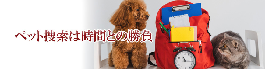 【静岡市　探偵】子ども見守り調査｜静岡市で子ども見守り調査で探偵をお探しならスマイルエージェント静岡中央にお任せください。