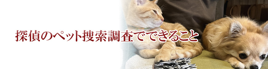 【静岡市　探偵】子ども見守り調査｜静岡市で子ども見守り調査で探偵をお探しならスマイルエージェント静岡中央にお任せください。