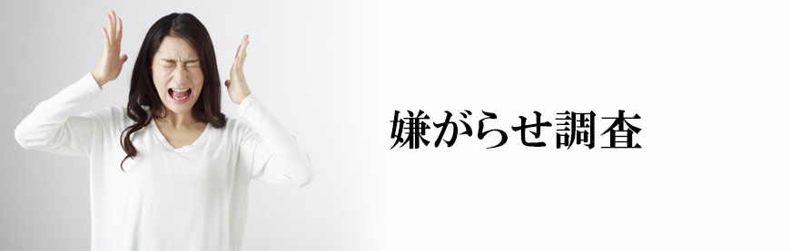 【静岡市　探偵】素行調査｜静岡市で素行調査で探偵をお探しならスマイルエージェント静岡中央にお任せください。